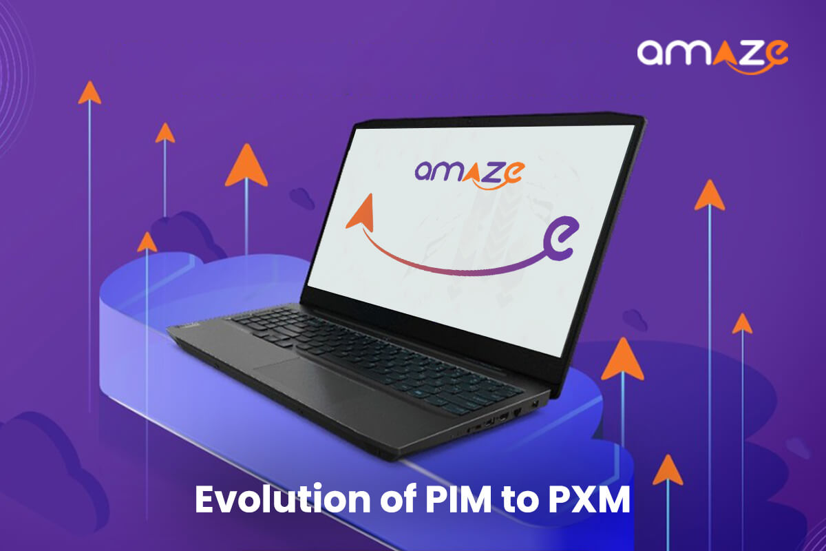 Evolution-from-PIM-to-PXM1-new